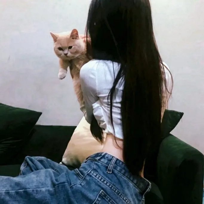拦截火狐狸